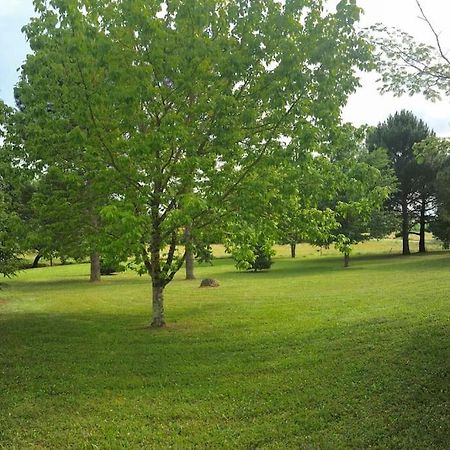 Une pause nature chez Marion et Cédric Montignac-Toupinerie Esterno foto