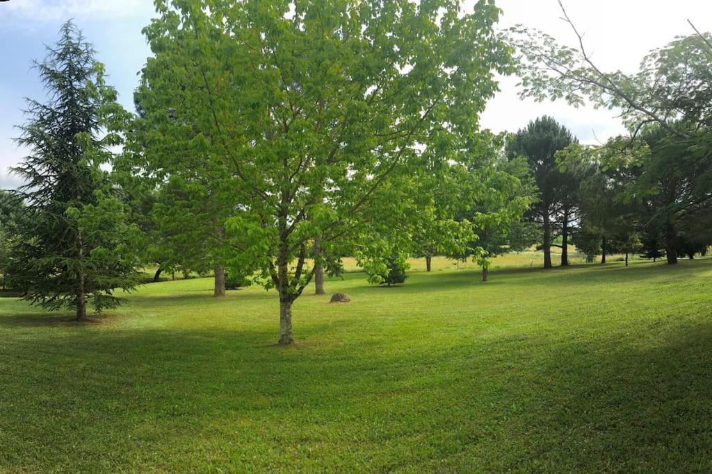 Une pause nature chez Marion et Cédric Montignac-Toupinerie Esterno foto