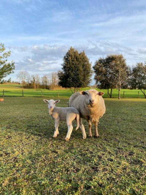 Une pause nature chez Marion et Cédric Montignac-Toupinerie Esterno foto